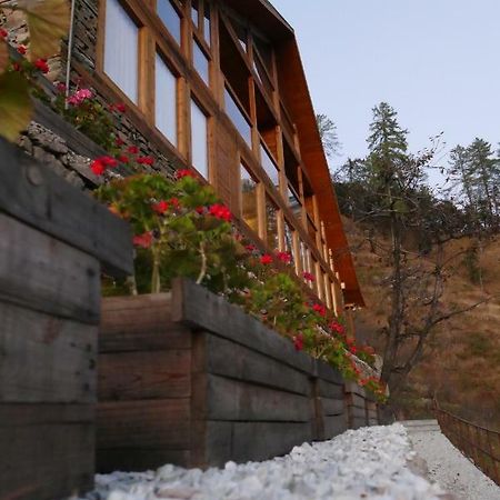 Skyline Villa Rental Narkanda Exteriér fotografie