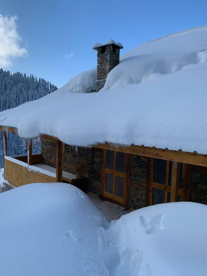 Skyline Villa Rental Narkanda Exteriér fotografie
