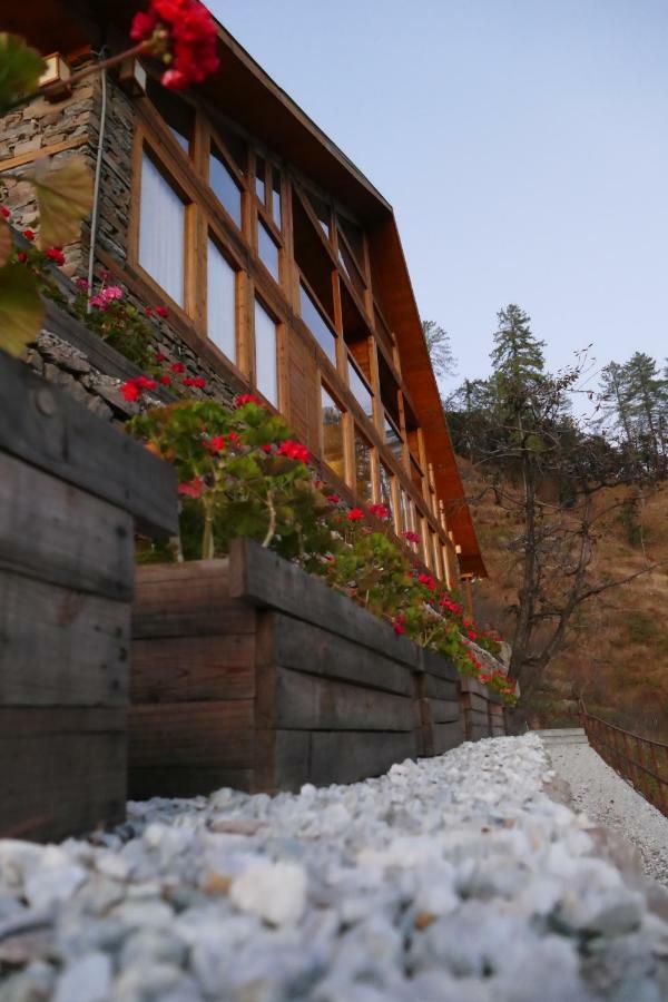 Skyline Villa Rental Narkanda Exteriér fotografie